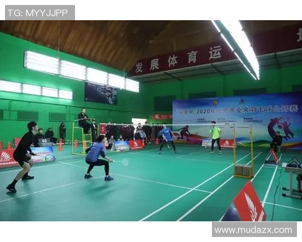 北京羽毛球队实力深度解析与发展前景展望