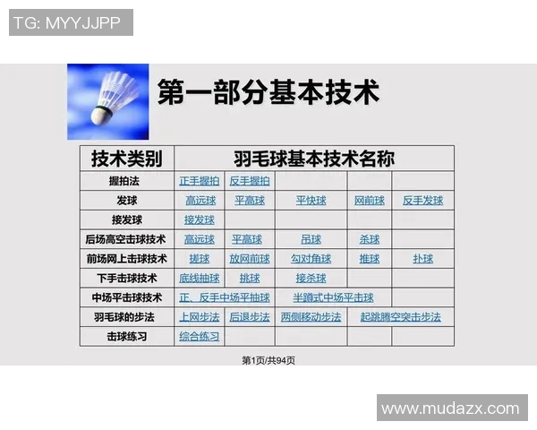 深圳羽毛球队战术深度解析与训练策略探讨 深圳羽毛球队战术深度解析与训练策略探讨