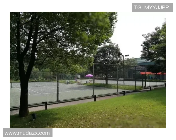 赛后复盘杭州网球队与成都网球队的战术意识与心理博弈分析 赛后复盘杭州网球队与成都网球队的战术意识与心理博弈分析