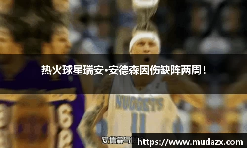 热火球星瑞安·安德森因伤缺阵两周！