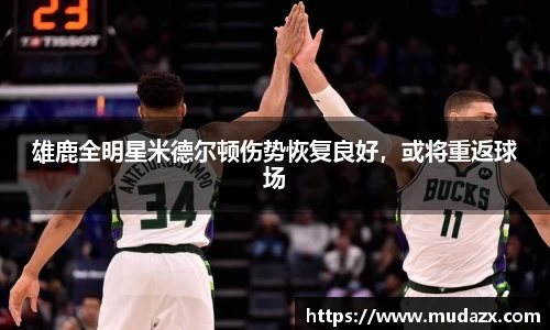 乐动LDSports官网