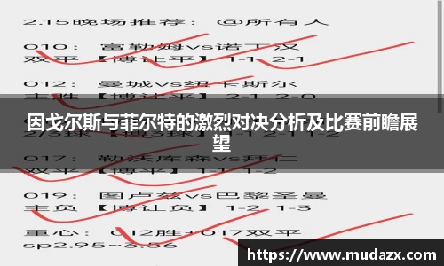 因戈尔斯与菲尔特的激烈对决分析及比赛前瞻展望