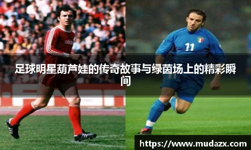 乐动LDSports官网