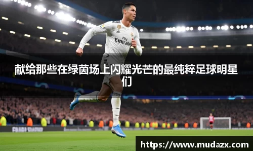 献给那些在绿茵场上闪耀光芒的最纯粹足球明星们