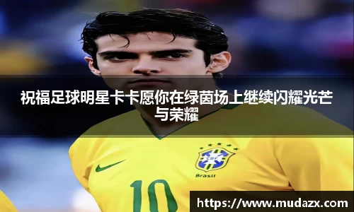 乐动LDSports体育